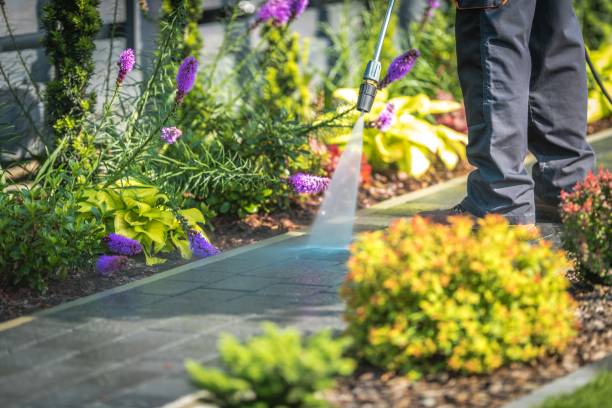 Professional Pressure Washing Services in Miramar, FL