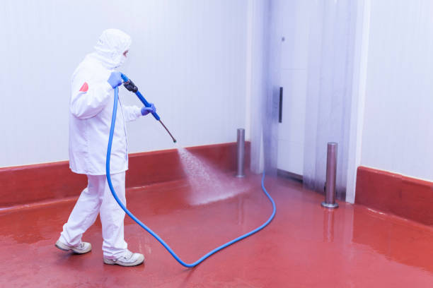 Best Sidewalk and Walkway Cleaning  in Miramar, FL